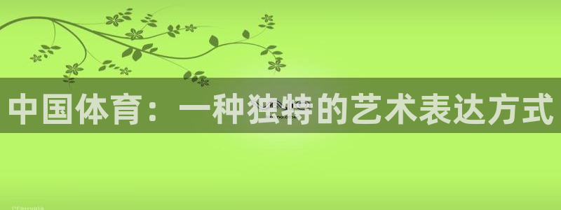 vsport体育在线官网