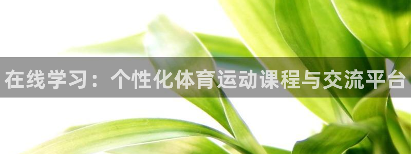 vsport体育在线官网