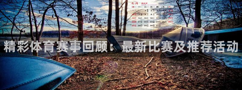 vsport体育在线官网