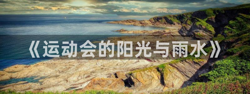 vsport体育在线官网