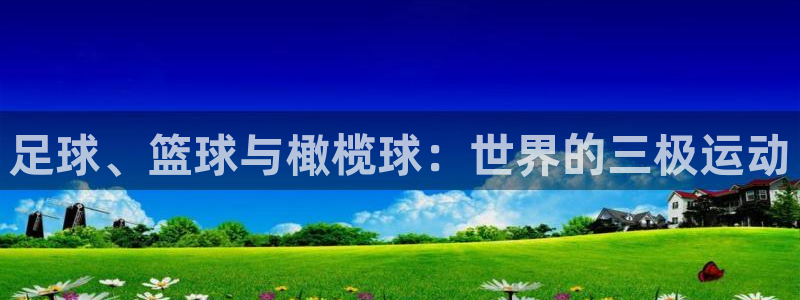vsport体育在线官网