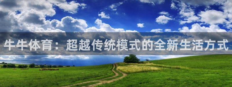 vsport体育在线官网