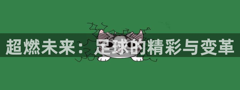 vsport体育
