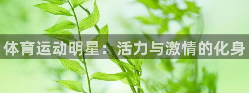 vsport体育在线官网