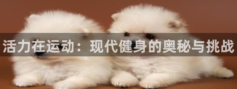 vsport体育在线官网