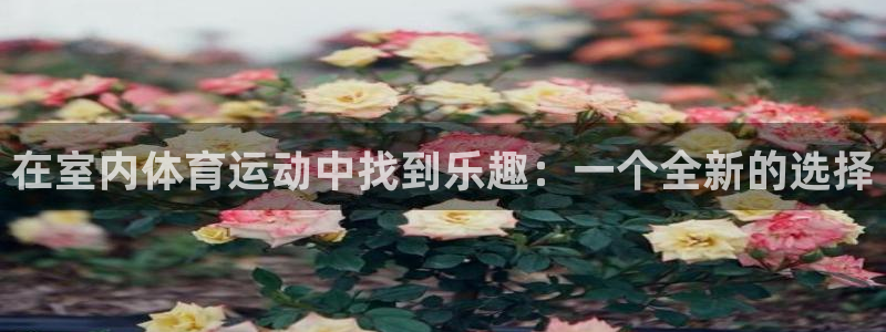 vsport体育