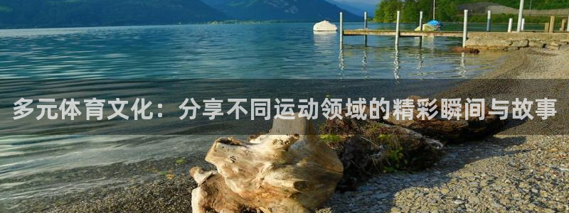vsport体育在线官网