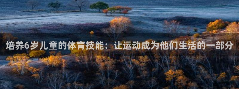 vsport体育在线官网