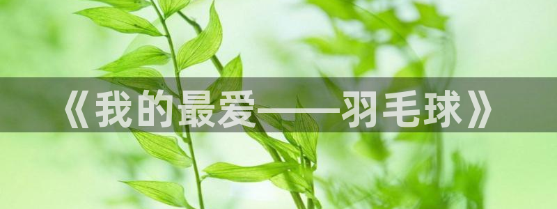 vsport体育在线官网