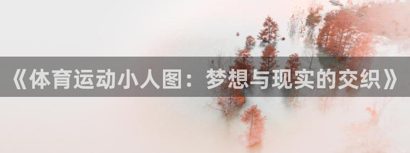 vsport体育在线官网