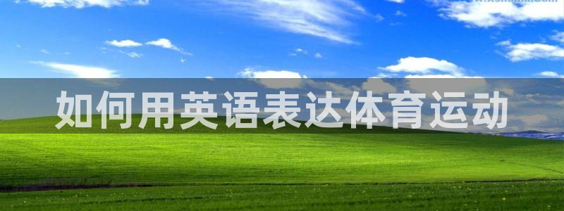 vsport体育在线官网