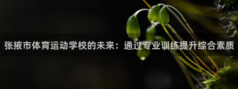 vsport体育在线官网