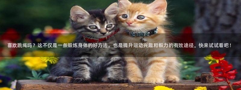 vsport体育在线官网