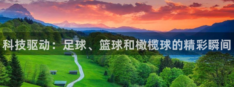 vsport体育在线官网